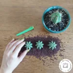 شمع کاکتوس - Image 3