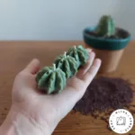 شمع کاکتوس - Image 4