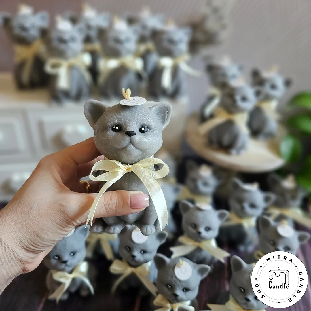 IMG_20251227_131447_376 شمع گربه - Image 1