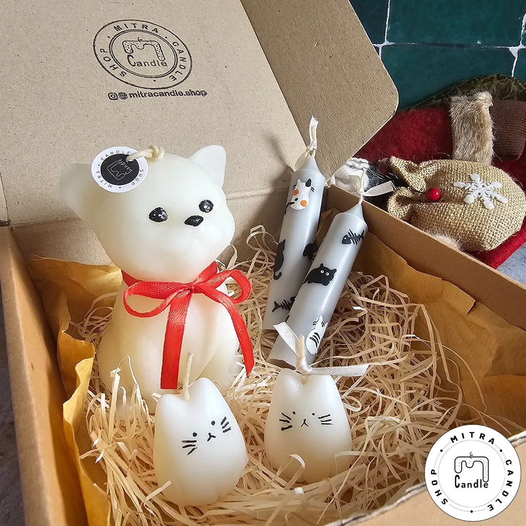 packcat5 پک شمع گربه - Image 1