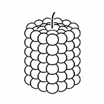 استوانه توپی سفید کتان